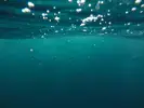su altındaki fotoğraf